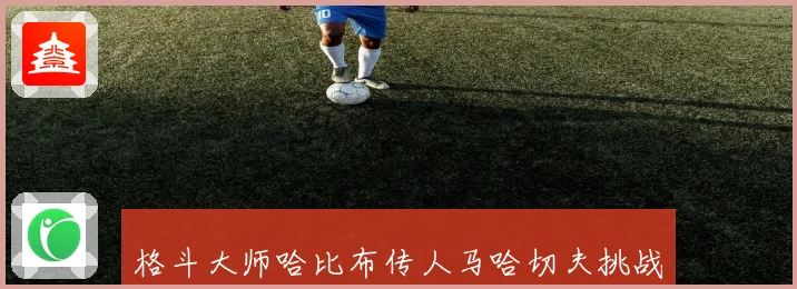 格斗大师哈比布传人马哈切夫挑战极限技艺征程揭秘
