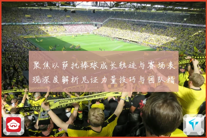 聚焦以萨托棒球成长轨迹与赛场表现深度解析见证力量技巧与团队精神融合之路