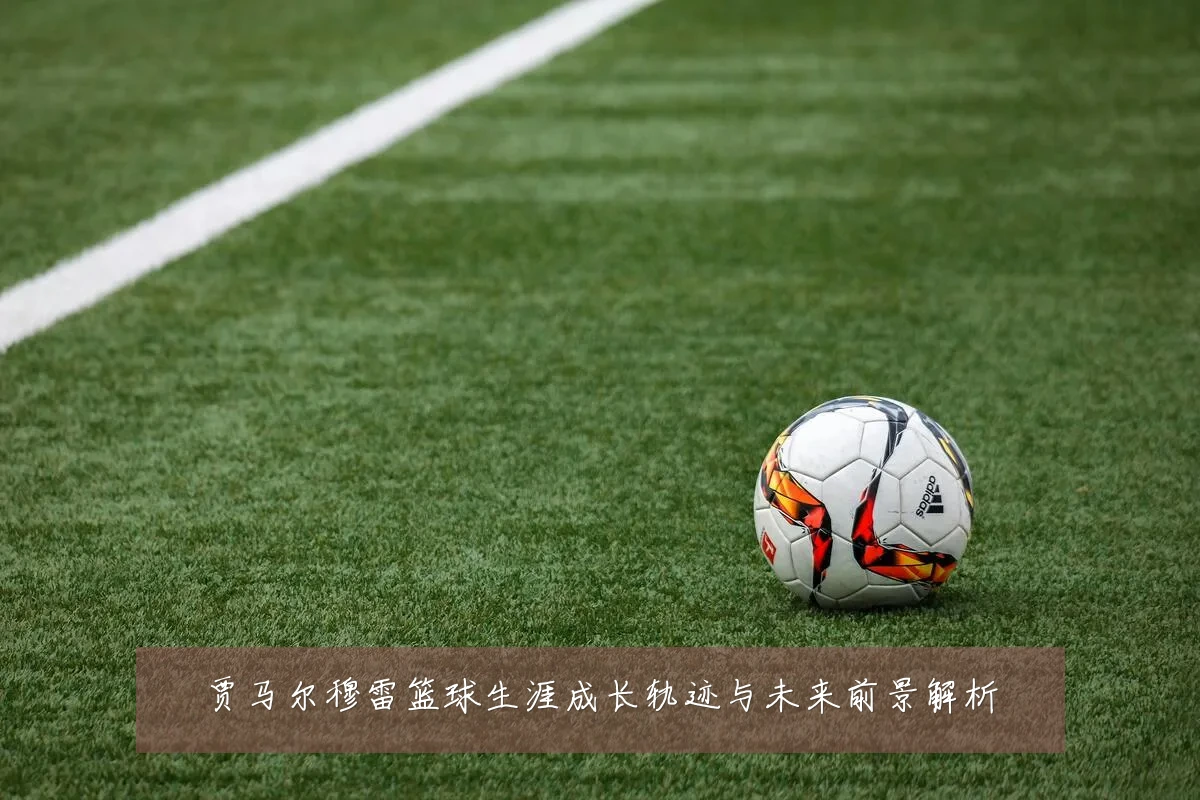 贾马尔穆雷篮球生涯成长轨迹与未来前景解析